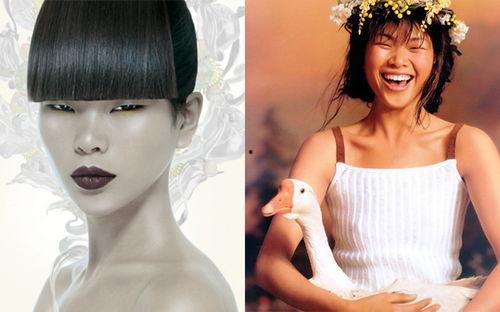 娱乐吃瓜凤姐视频全集,揭秘娱乐圈的“吃瓜”盛宴